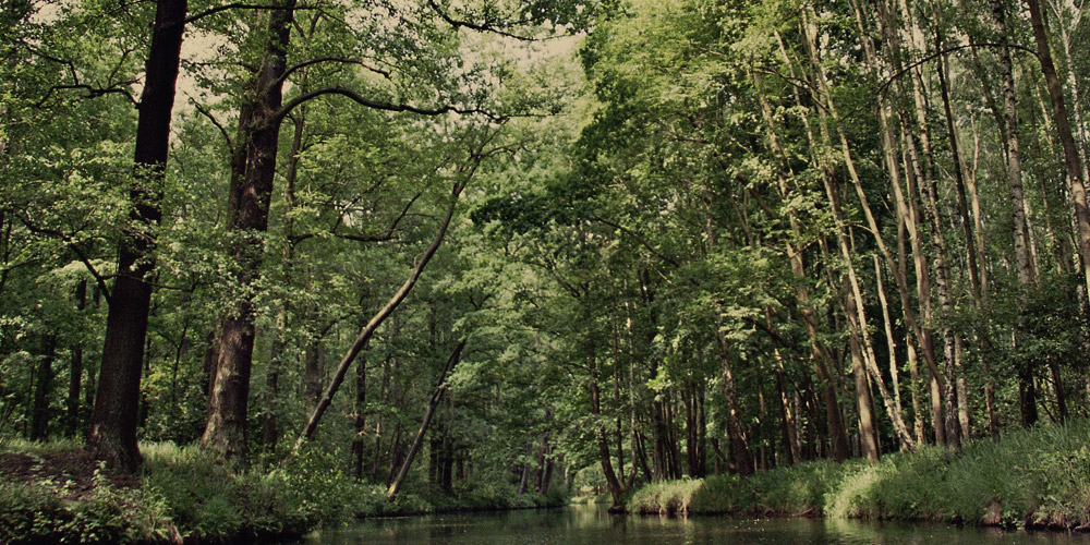 Spreewald