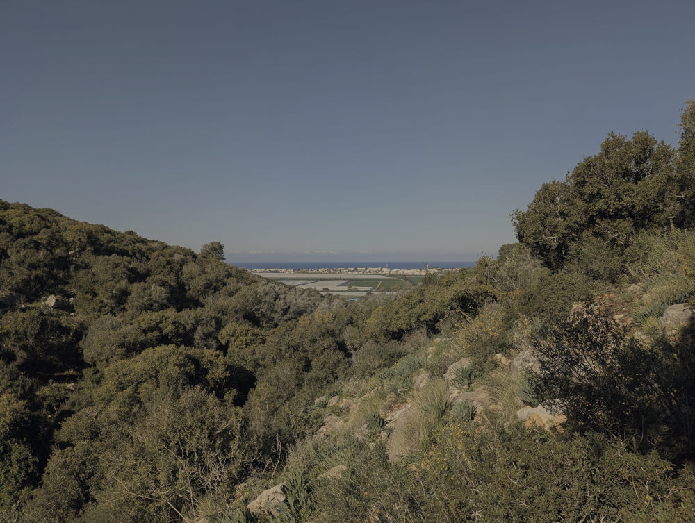 View from the Carmel