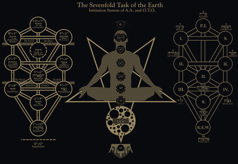 OTO Tree of Life
